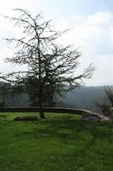 Mas Postius 3* Estany